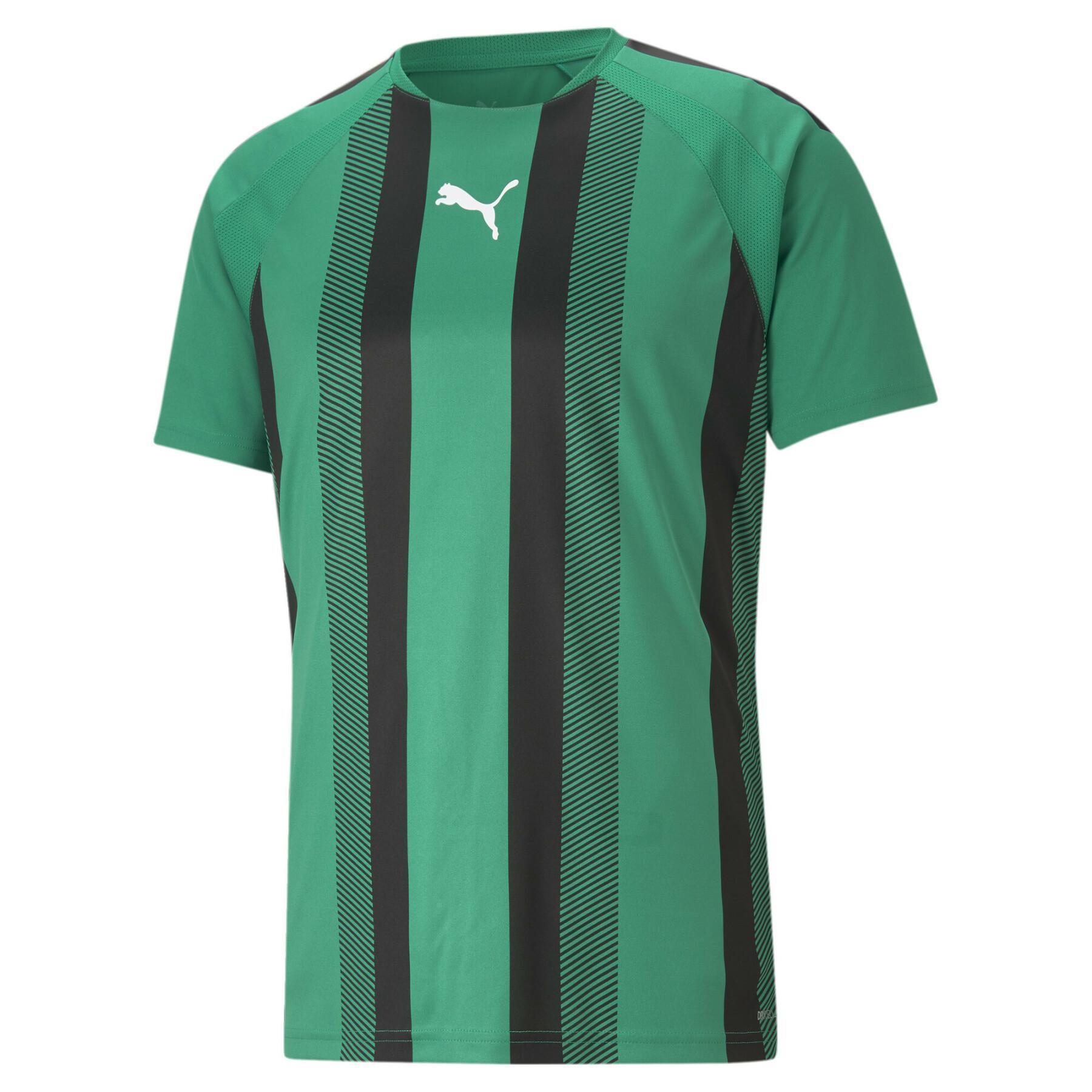 Koszulka Puma Team Liga Striped