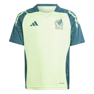 Koszulka treningowa dla dzieci Mexique Tiro Copa America 2024