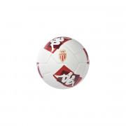Balon AS Monaco 2020/21 player miniball