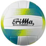 Piłka allround Erima Volley-ball T5
