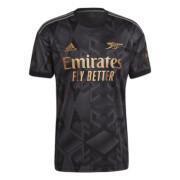 Outdoor jersey Arsenal 2022/23