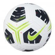 Balon Nike Academy Pro
