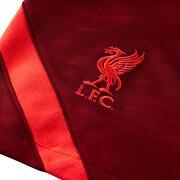 Krótki Liverpool FC Dynamic Fit Strike 2021/22